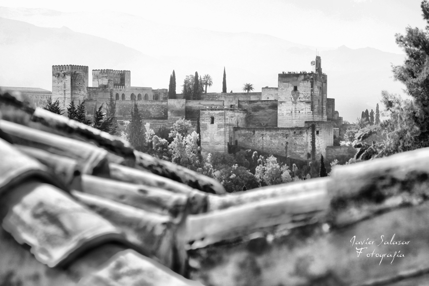 Alhambra de granada. Otro punto de vista