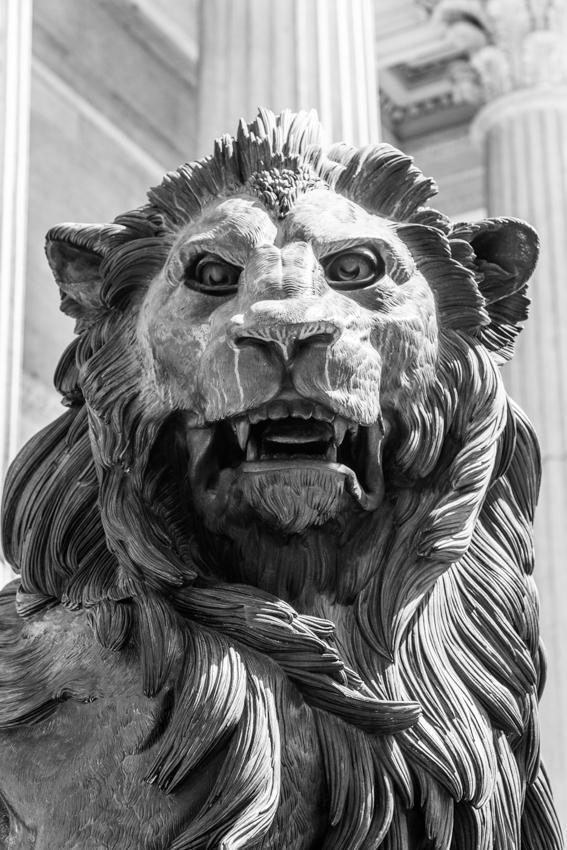 El león del Congreso.