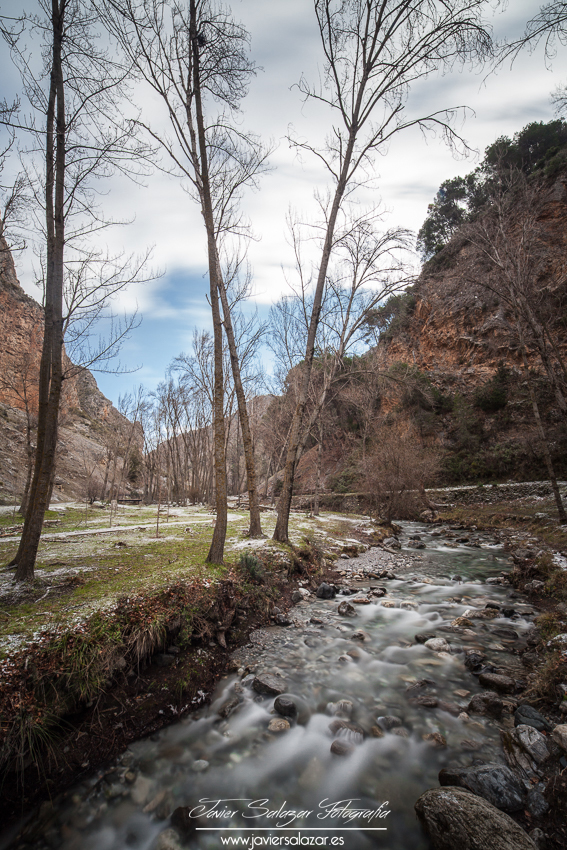 Una gélida mañana de febrero