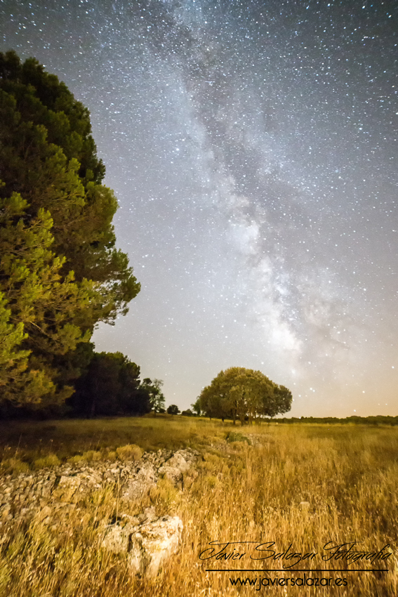 Maravillas de la noche