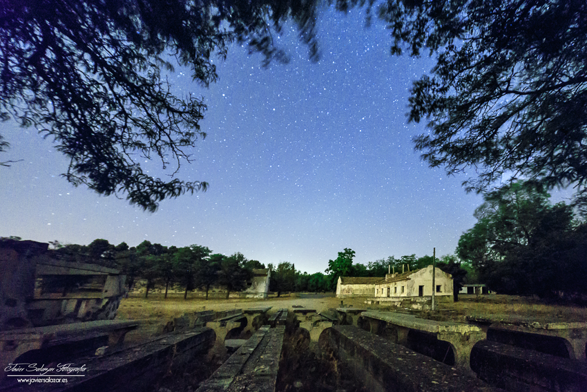 En el silencio de la noche