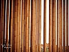 Campos de bambú