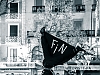 Fin