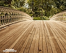 Puentes de Central Park