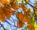 La llegada del otoño