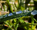 Agua de vida