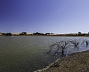 Humedales en Las Cabezas de San Juan