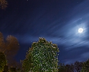Sueño de una noche de primavera